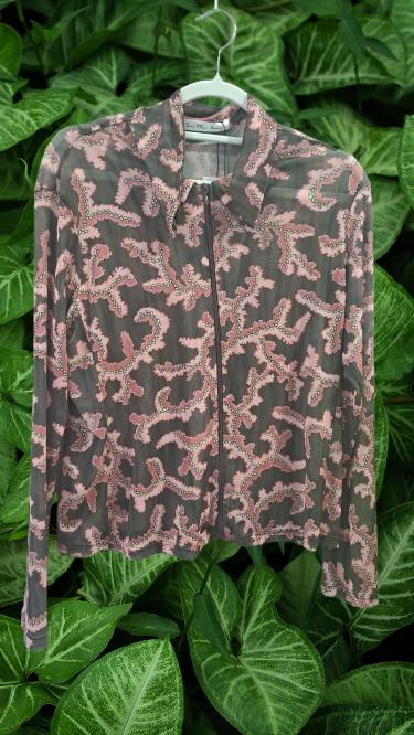 Bomber Coral See The Moon